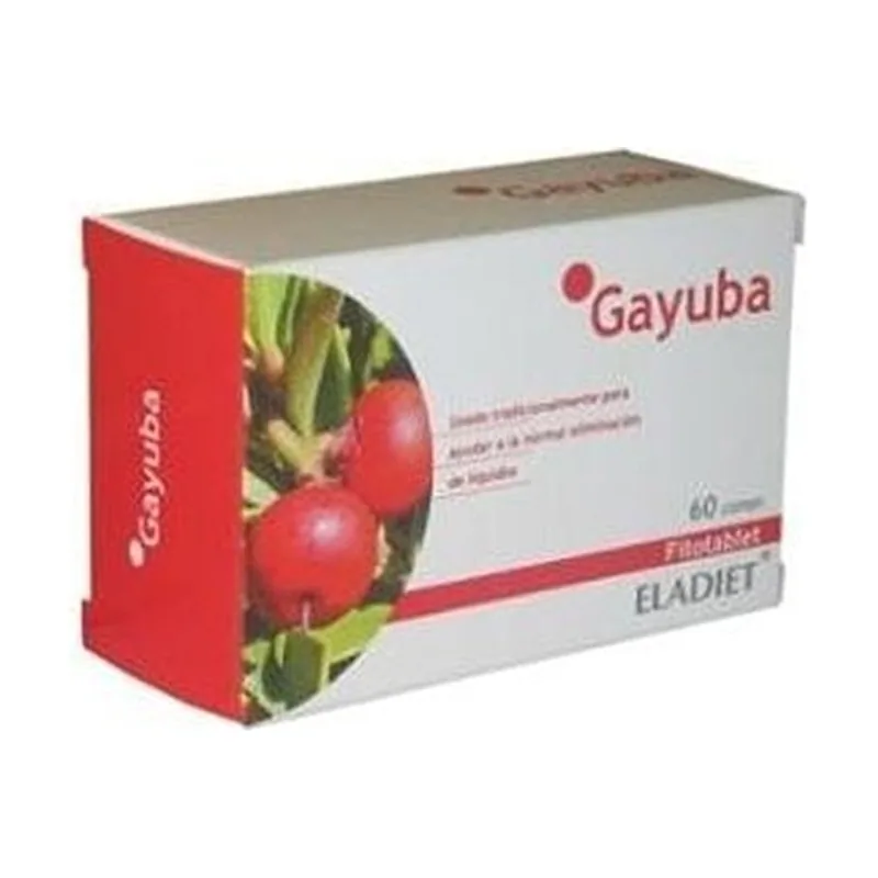 Gayuba 60 Comprimidosrimidosde 330 mg