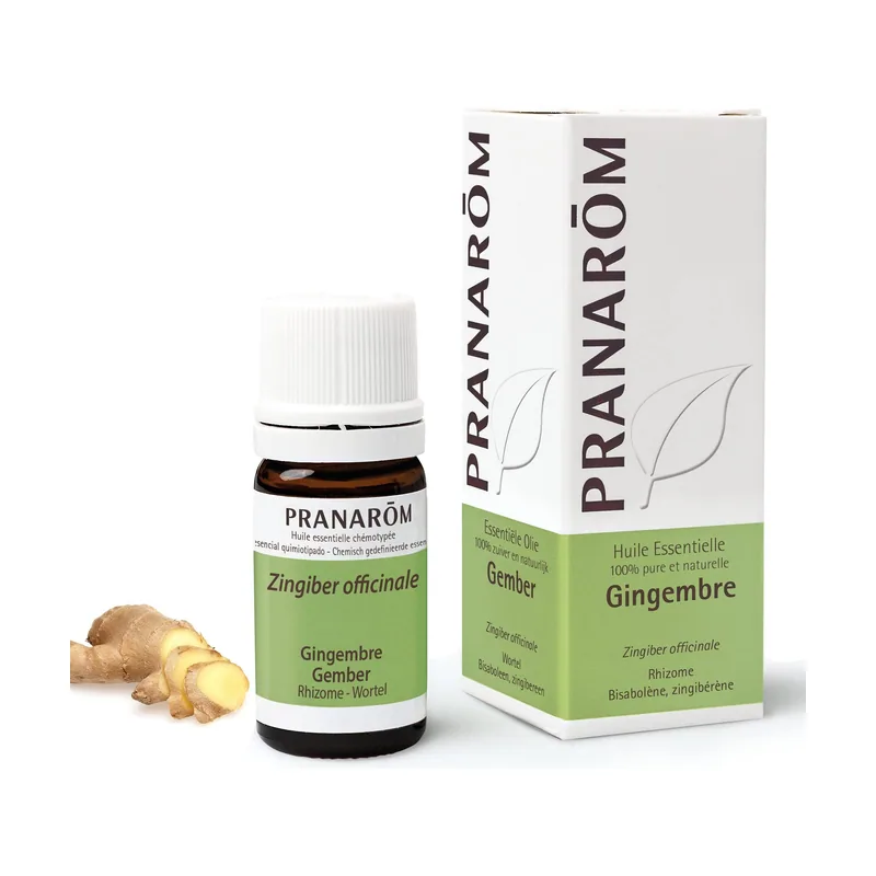 Jengibre Rizoma 5ml