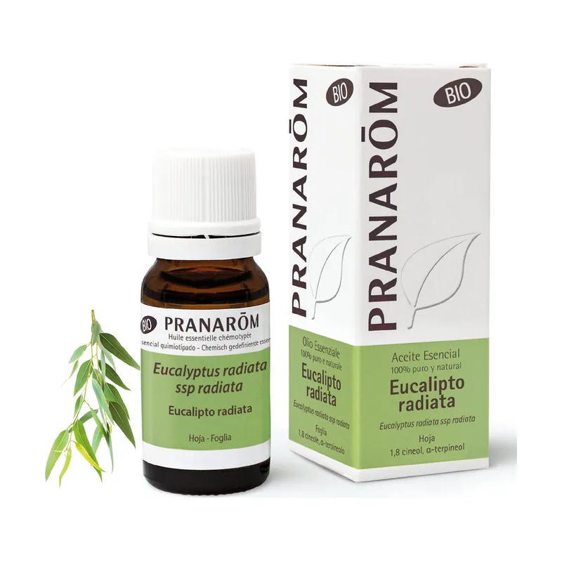 Eucalipto Radiata Hoja Bio 10ml