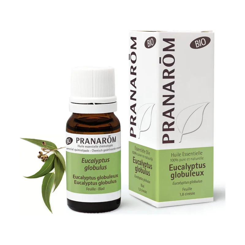 Eucalipto Hoja Bio 10ml