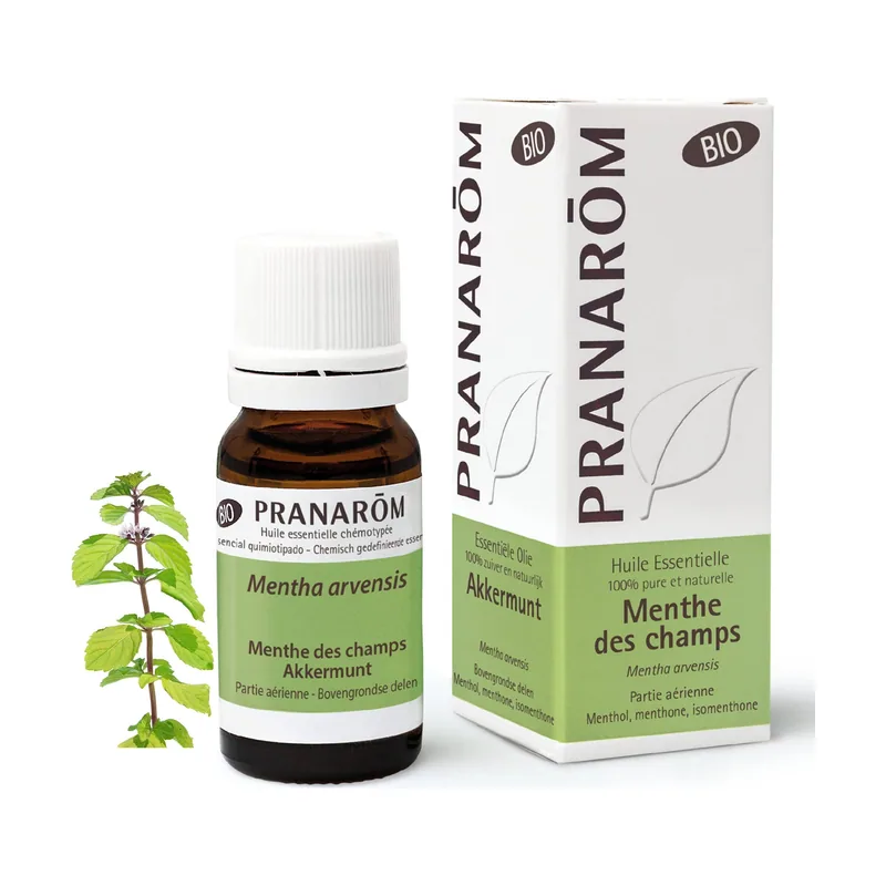 Menta De Campo Partes Aéreas Bio 10 ml