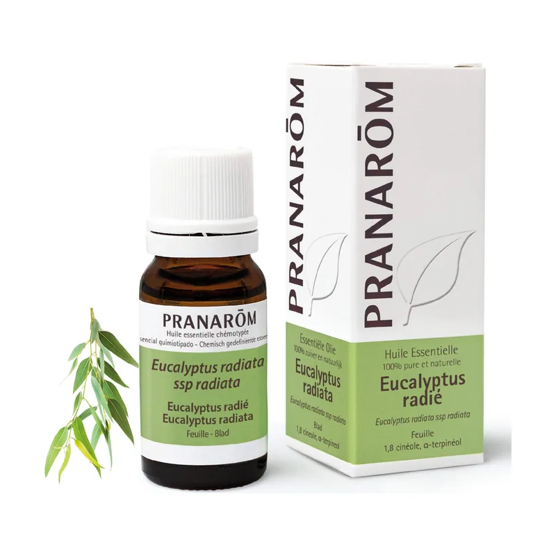 Eucalipto Radiata Hoja 10 ml