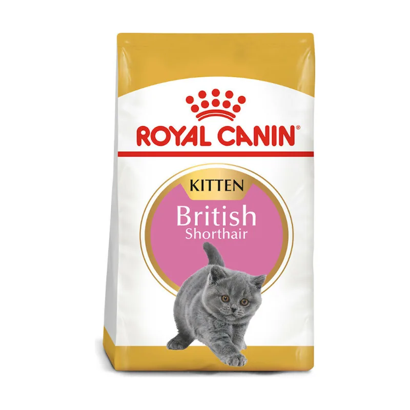 Royal Canin 2 kg British Shorthair Kitten pienso