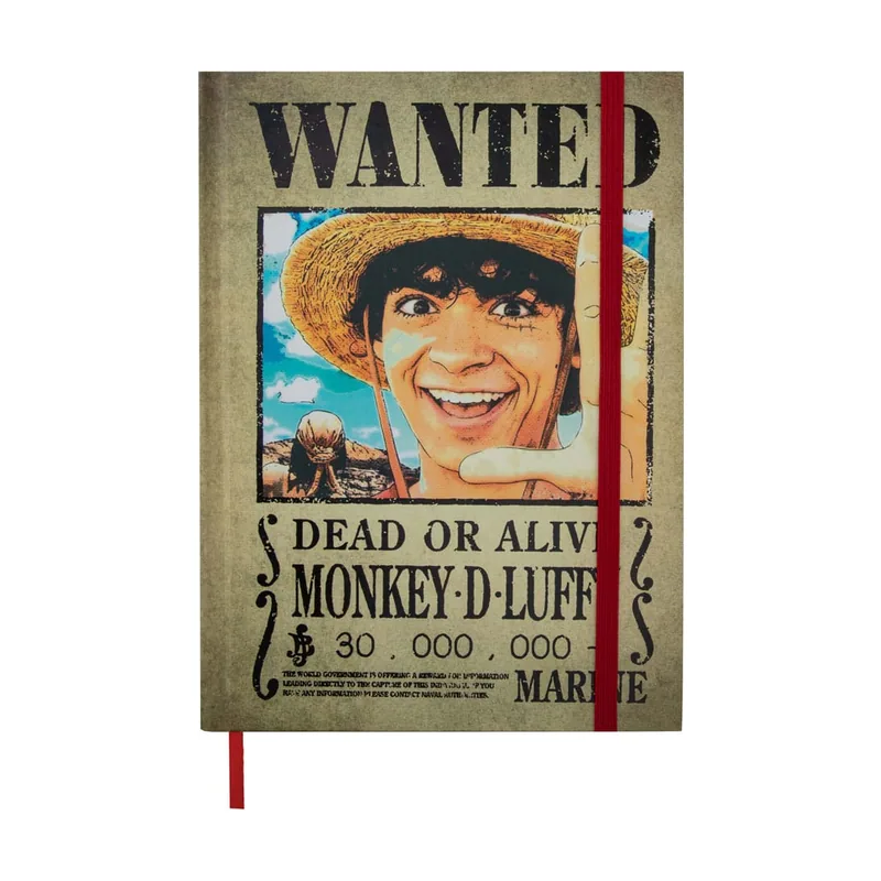 One Piece Wanted Posters