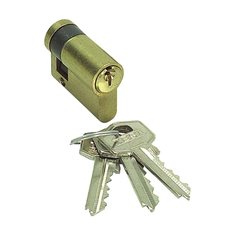 Tesa 50303010L Cilindro TE5
