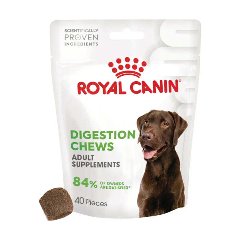 Royal Canin 160 g Digestion Chews Suplemento Nutricional