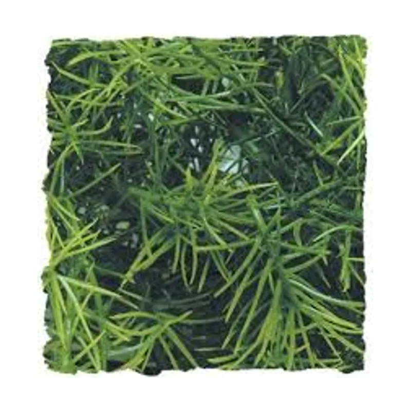 Zoo Med Planta Ariticial Casuarina para terrarios