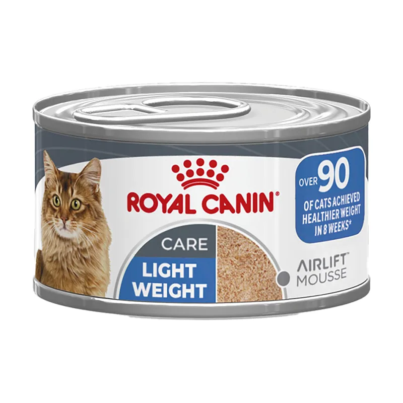 Light Weight Care AirLift Mousse