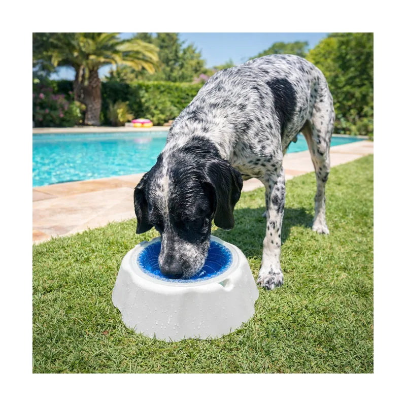 Bowl Refrescante Comedero y Bebedero para perros