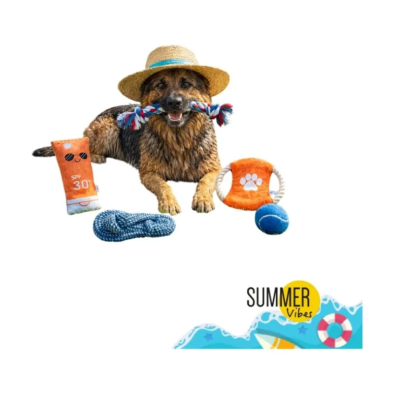 Summer Vibes The Beach Club Set Juguetes para perros