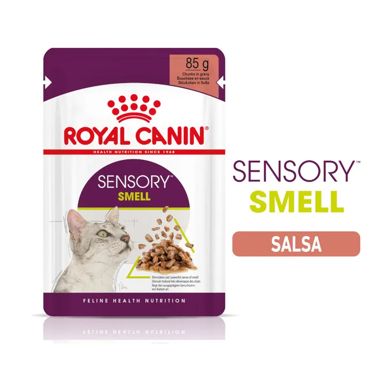 Royal Canin 85 g Adult Sensory Smell salsa sobre