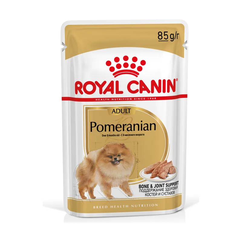 Breed Pomerania Mousse