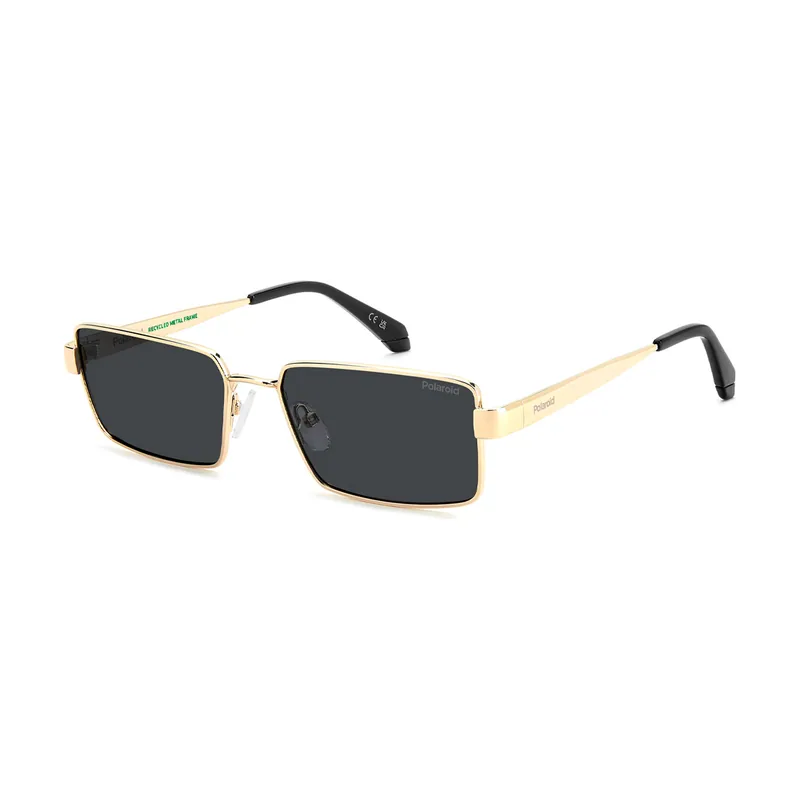 Gafas de sol para hombre Gafas De Sol PLD 6255/S/X