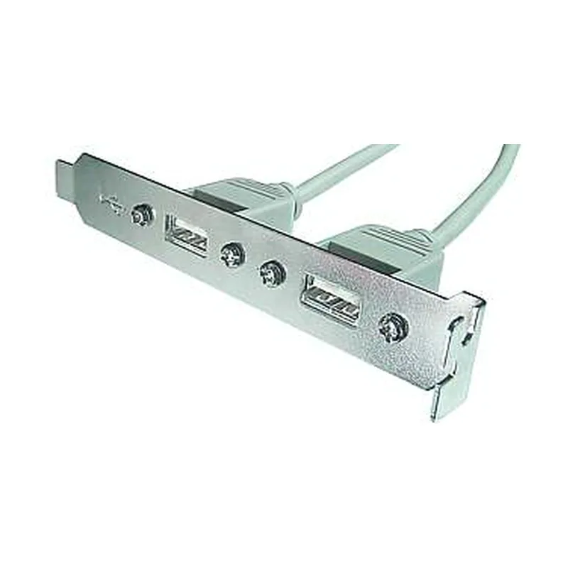 ETT platina de USB con 2 x USB