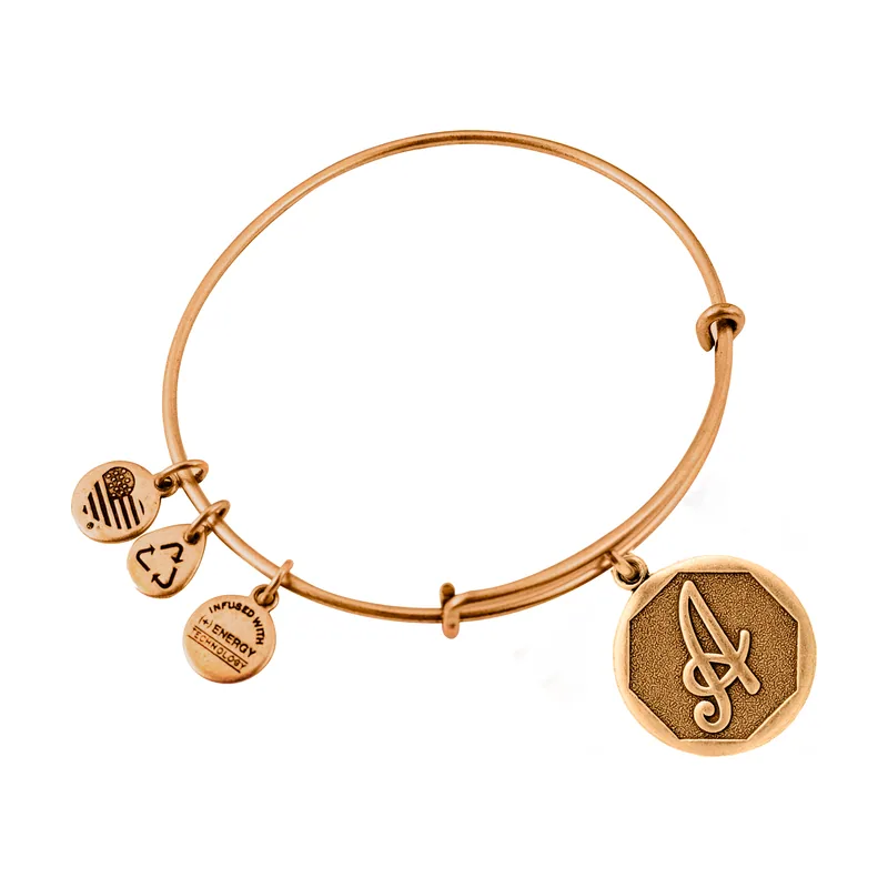 Pulsera rígida expandible con inicial A13EB14AG