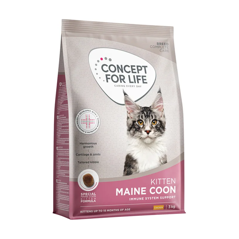 For Life Maine Coon Kitten