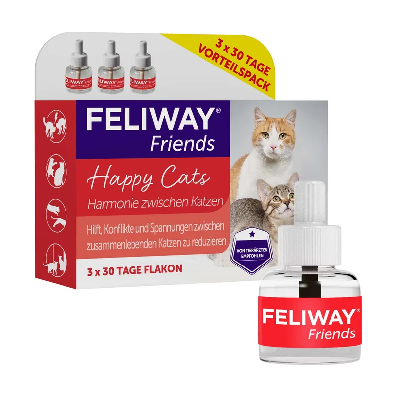Friends anticonflictos para gatos