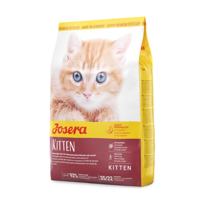 Kitten 2 kg