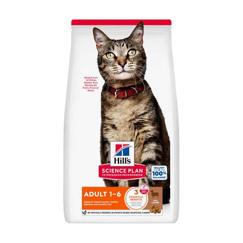 Science Plan Adult cordero y arroz