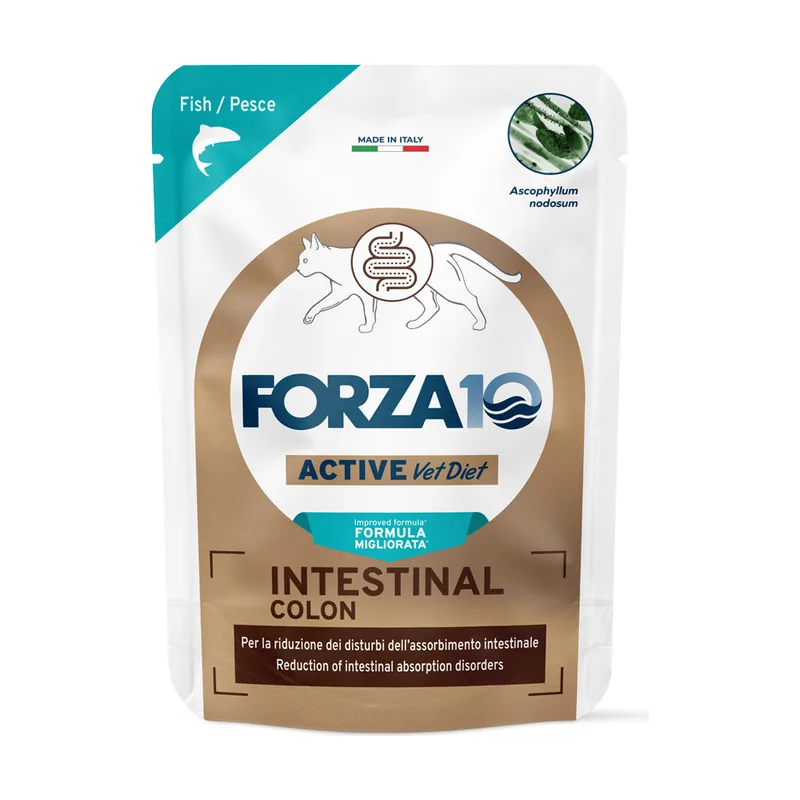 Forza 10 Intestinal Colon Active Vet Diet