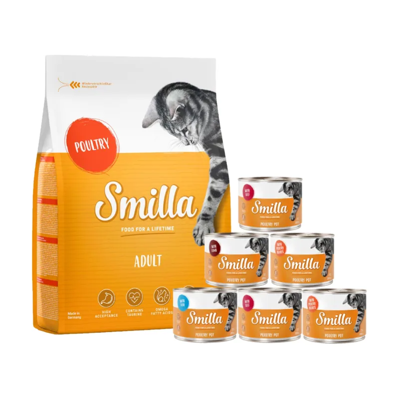 Pack nutrición mixta pienso 4 kg + latas 6 x 200 g