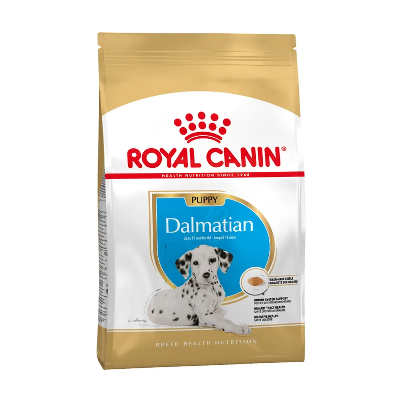 Dálmata Puppy
