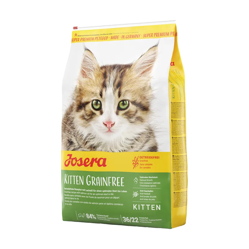 Kitten pienso sin cereales