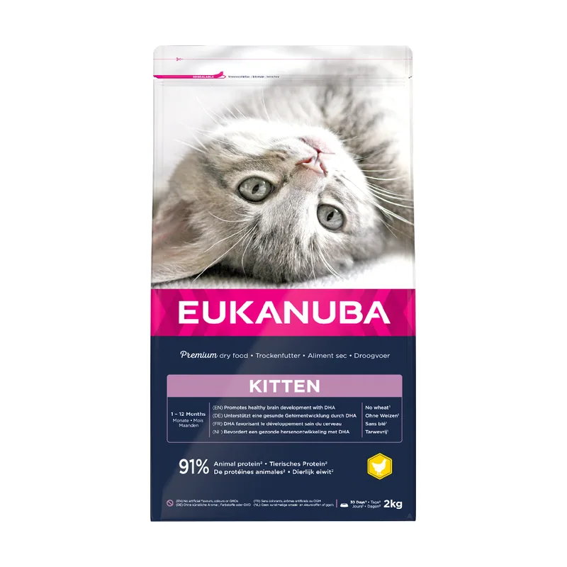 Healthy Start Kitten
