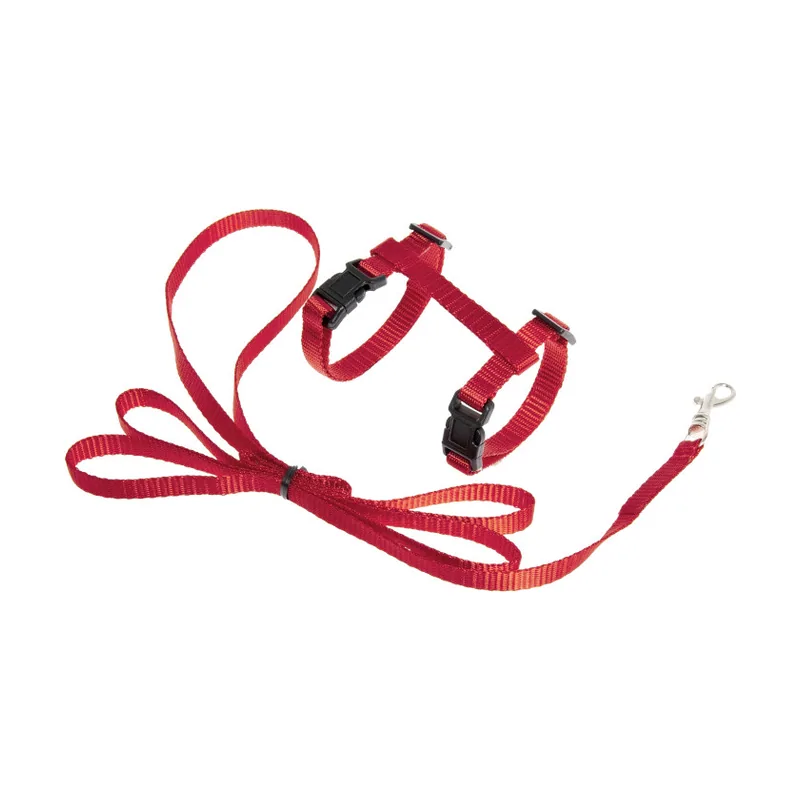 Arnés con Correa Ziggi Rojo para gatitos