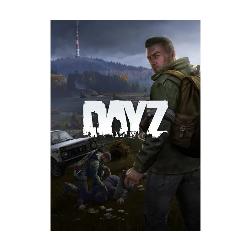 DayZ PC