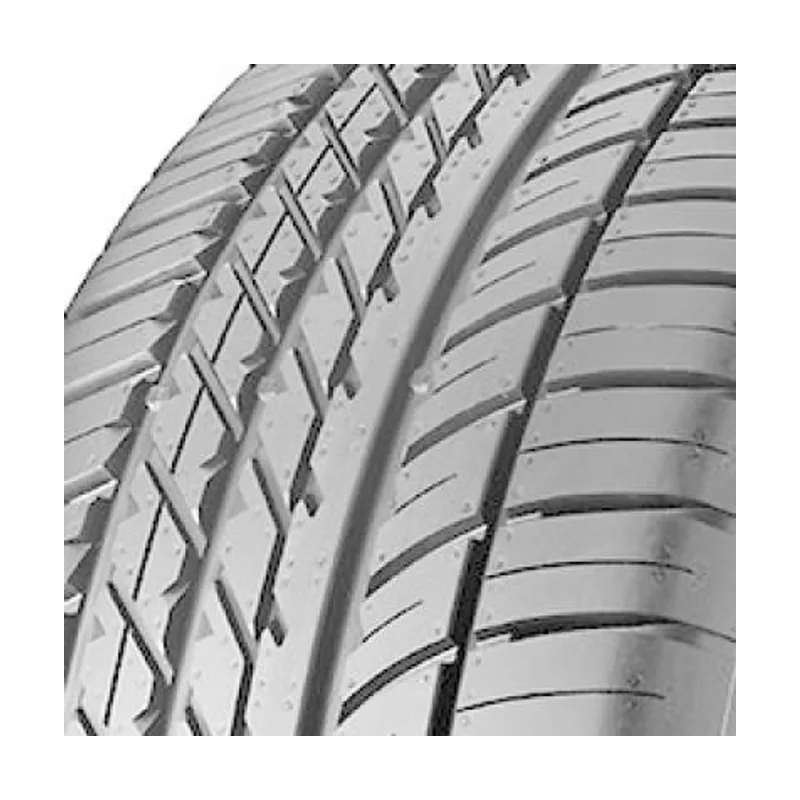 Goodyear Eagle F1 Asymmetric AT 255/50 R20