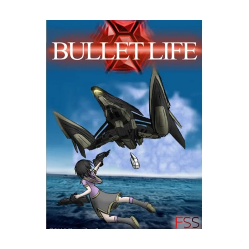 Bullet Life 2010 PC