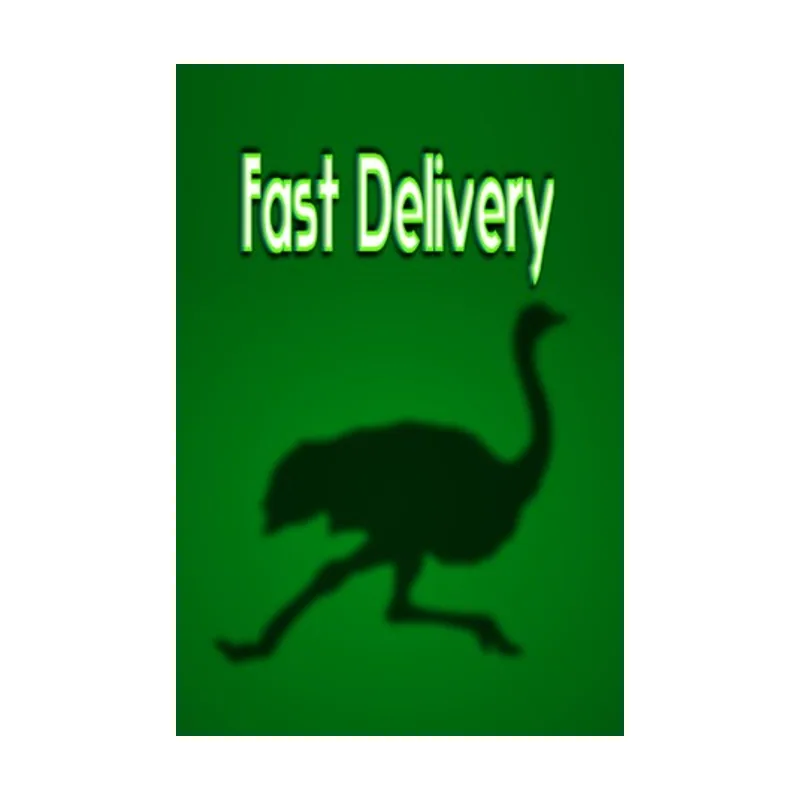 Fast Delivery PC