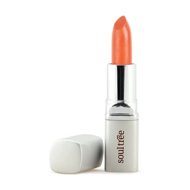 Barra de Labios 817 Cantaloupe 4,5 g