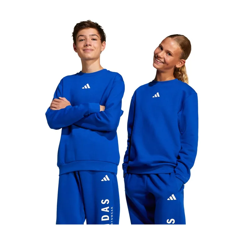 Sudadera cuello redondo All SZN Graphic (Adolescentes) KPH32