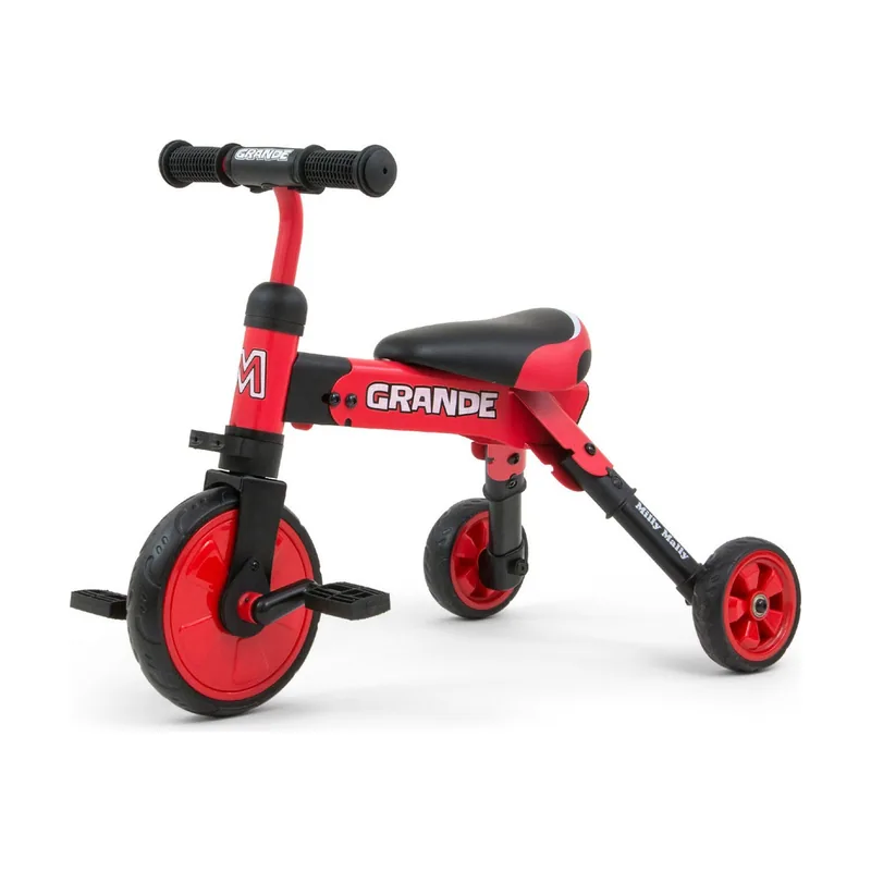 Triciclo Ride On Bike 2 in 1