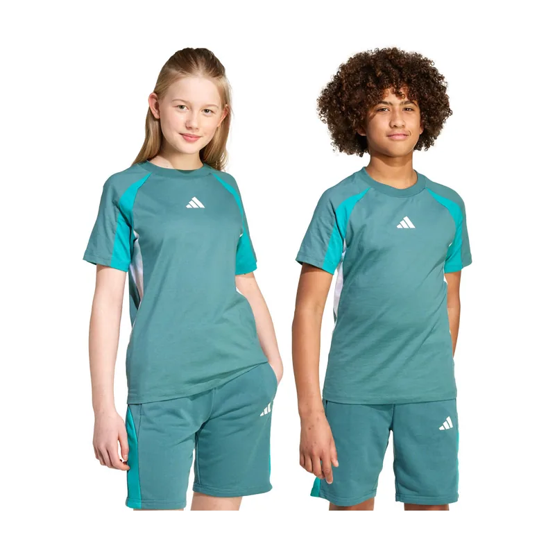 Camiseta Seasonal Essentials Colorblock (Adolescentes) KPG87
