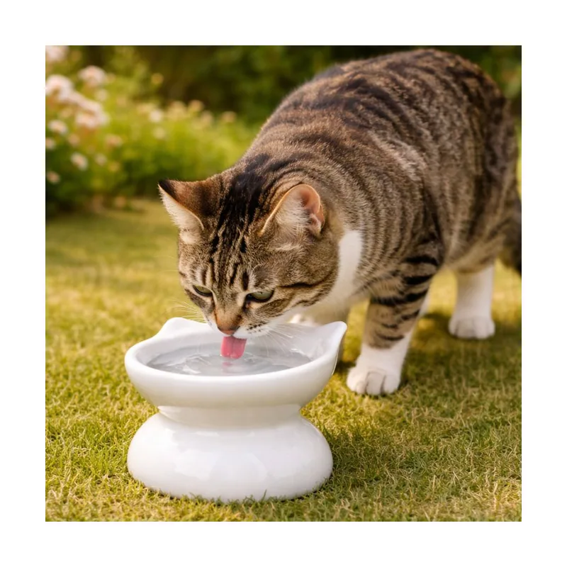Comedero Elevado Inclinado de Cerámica Blanco para gatos