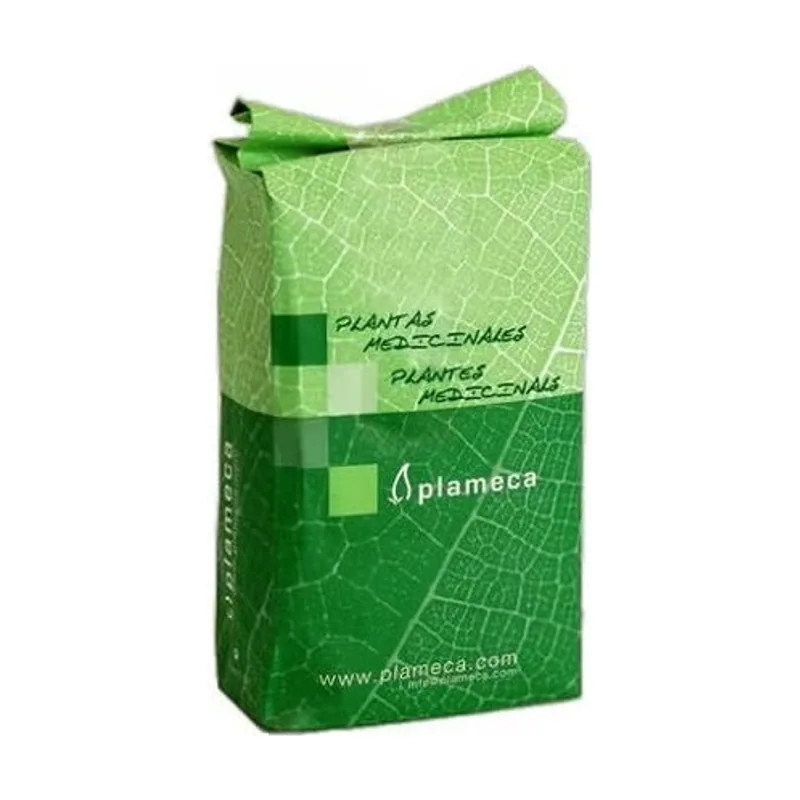 Zaragatona Semillas Enteras 100g