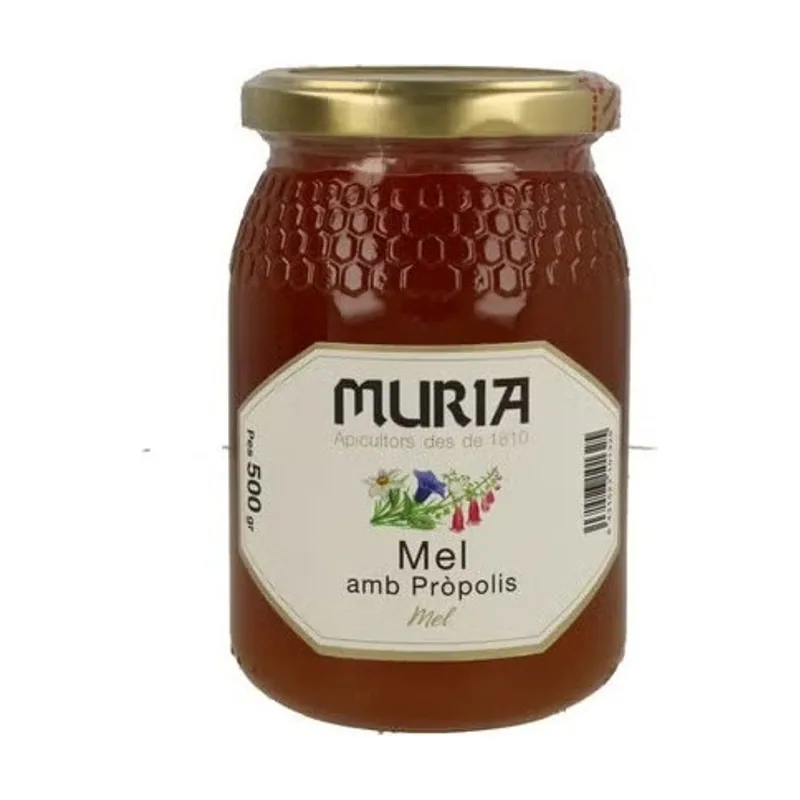 Miel Propolis 500g
