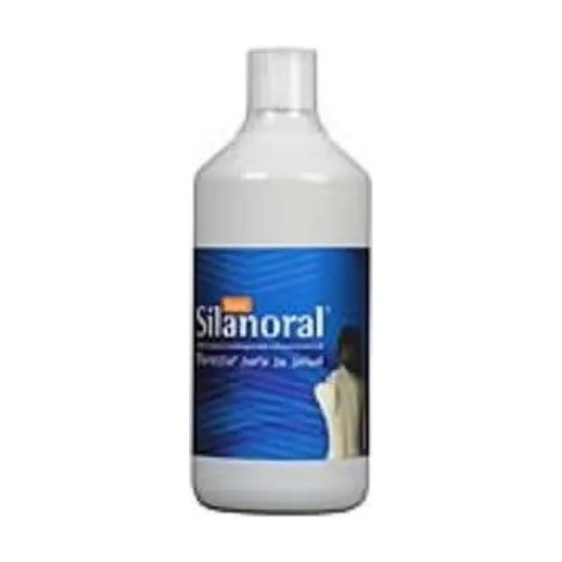 Silanoral Basic 1l