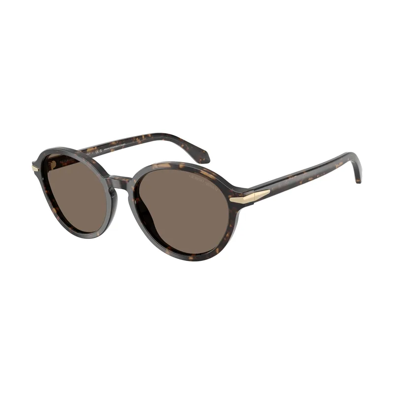 Gafas de Sol AR 8237 623573 Calibre 53