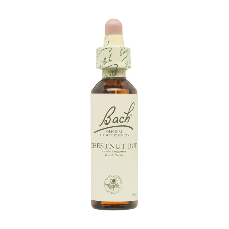 Chestnut Bud Brote Castaño 20ml