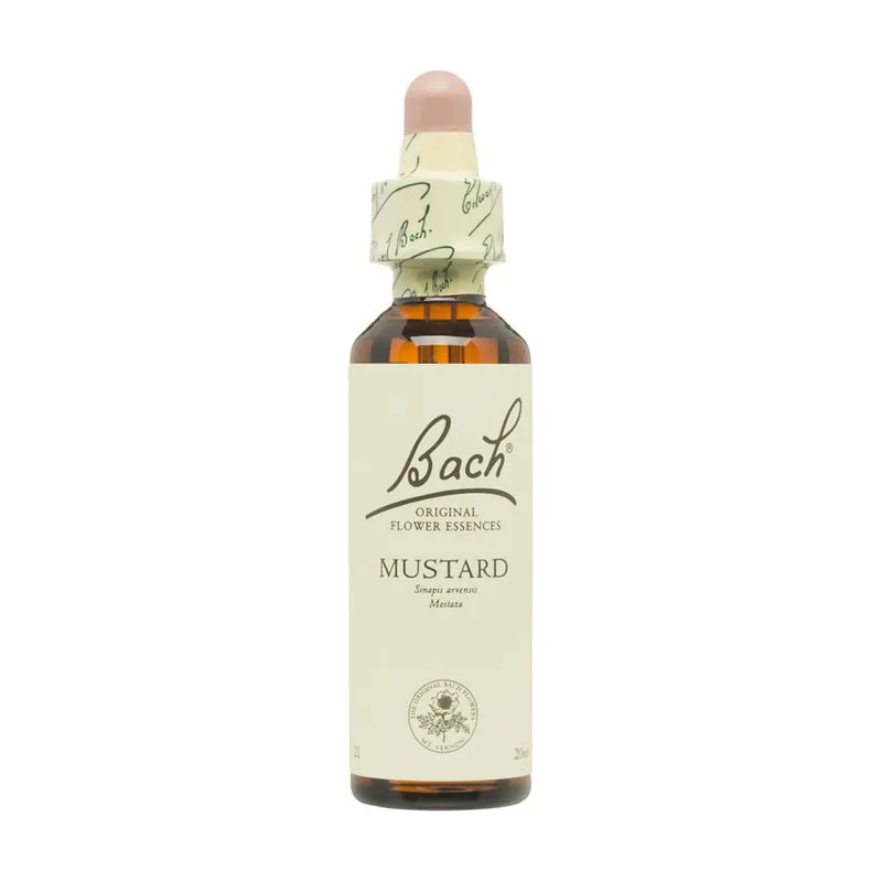 Mustard Mostaza 20ml