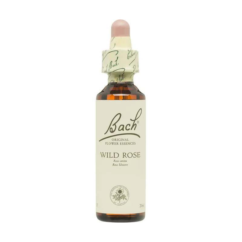 Wild Rose Rosa Silvestre 20ml