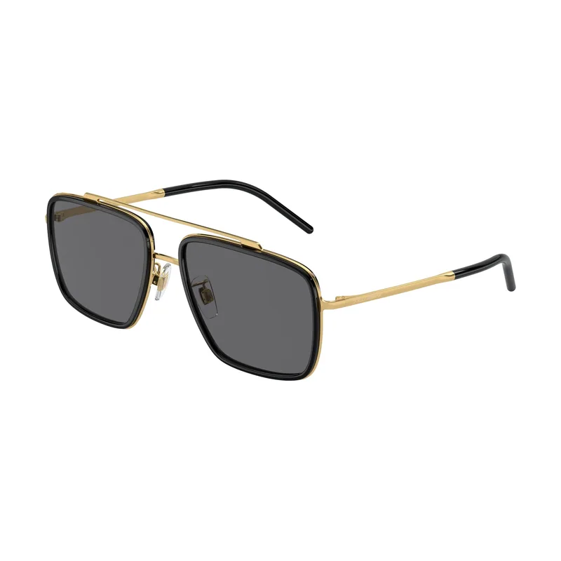 Gafas de Sol DG 2220 02/81 Calibre 57