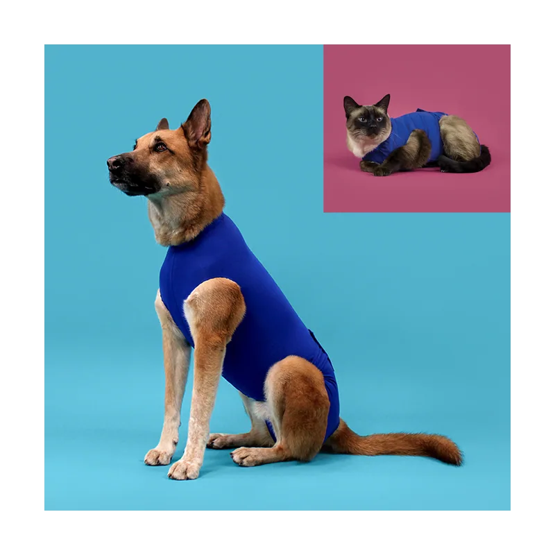 Camiseta Malla de Recuperación para Perro y Gato S