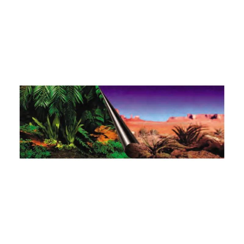 Poster Selva/Desierto 60x30 cm