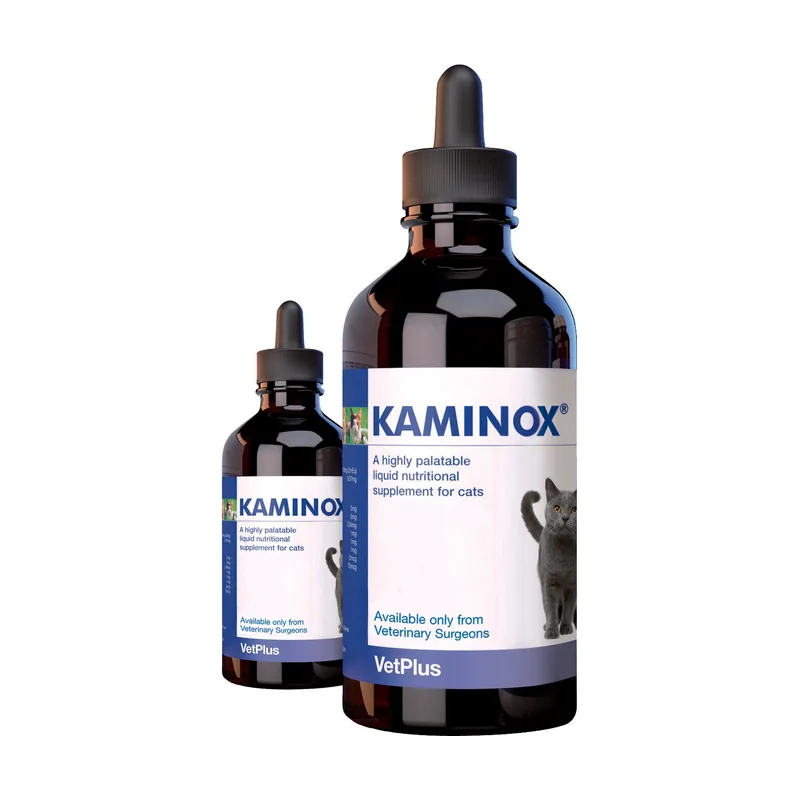 Kaminox para la Insuficiencia Renal en Gato 60 ml