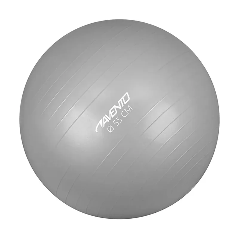 Fitball Gymnastics 75 cm Plateado